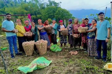 Potato_Branding_Myagdi