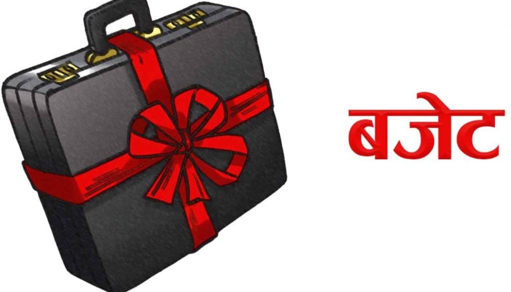 Kaski budget
