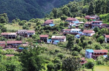 हरपाक गाउँका एकै खालका घ