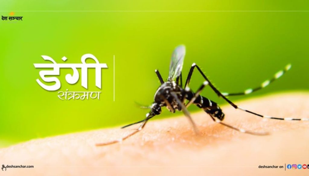 dengue