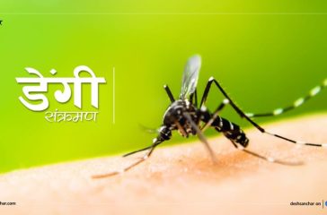 dengue