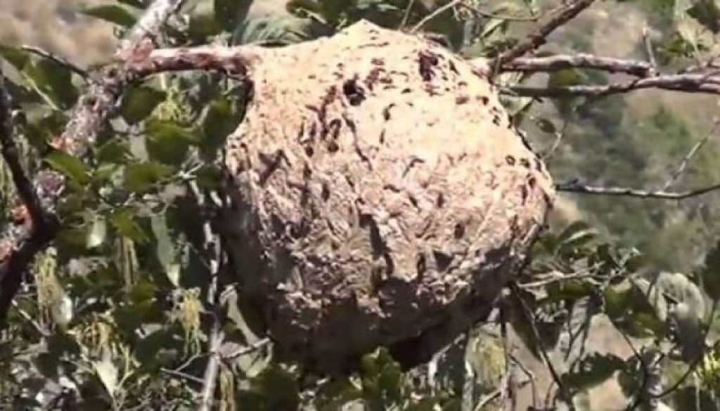 New-Project-2022-10-15T095116.989-768x403