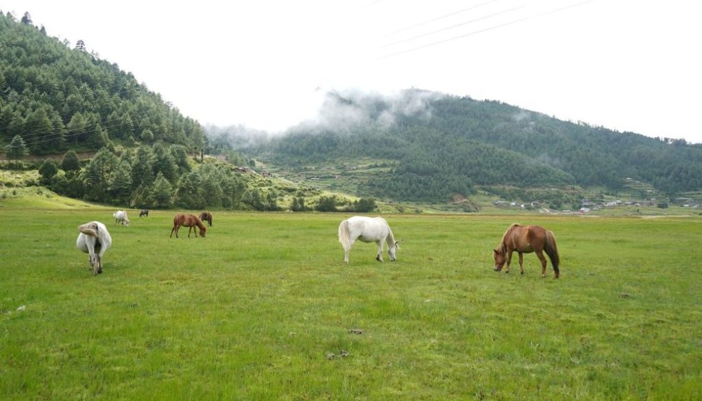 dhorpatan-area-photo_PApMKbx96B