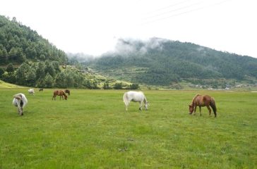 dhorpatan-area-photo_PApMKbx96B