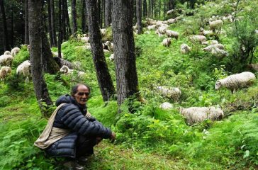 202409220343-f90a2a81-0ec3-4892-af8c-31a4fc020c90_medium_bD5iHurU52