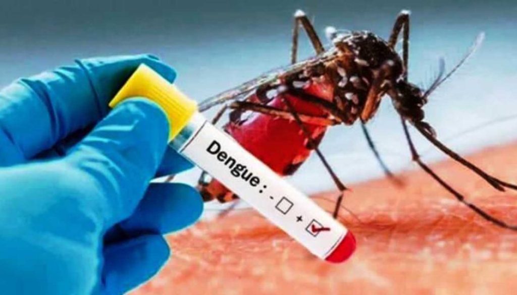 Dengue-Dengu-1