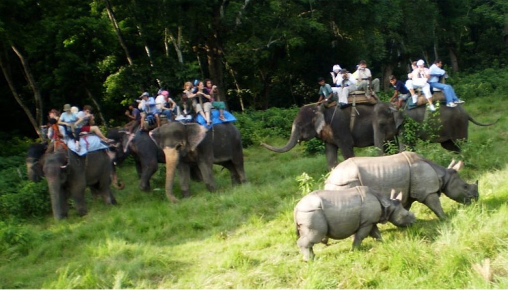 chitwan-jungle-safari ed