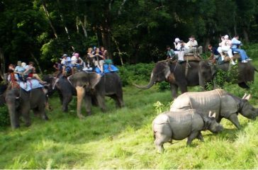 chitwan-jungle-safari ed