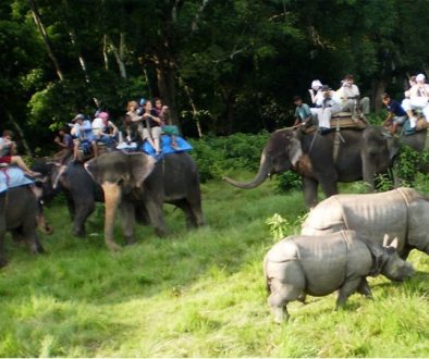 chitwan-jungle-safari ed