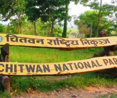 chitwan_national_park_