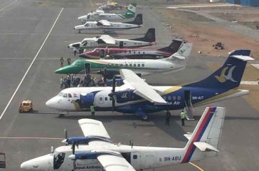 domestic airlines