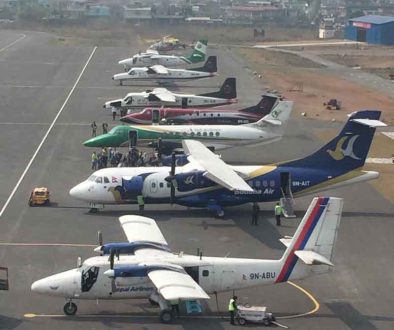 domestic airlines
