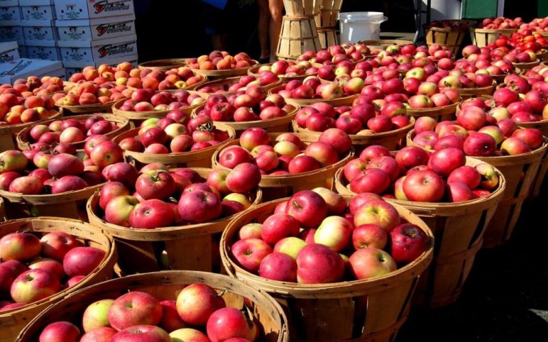 jumla_apple