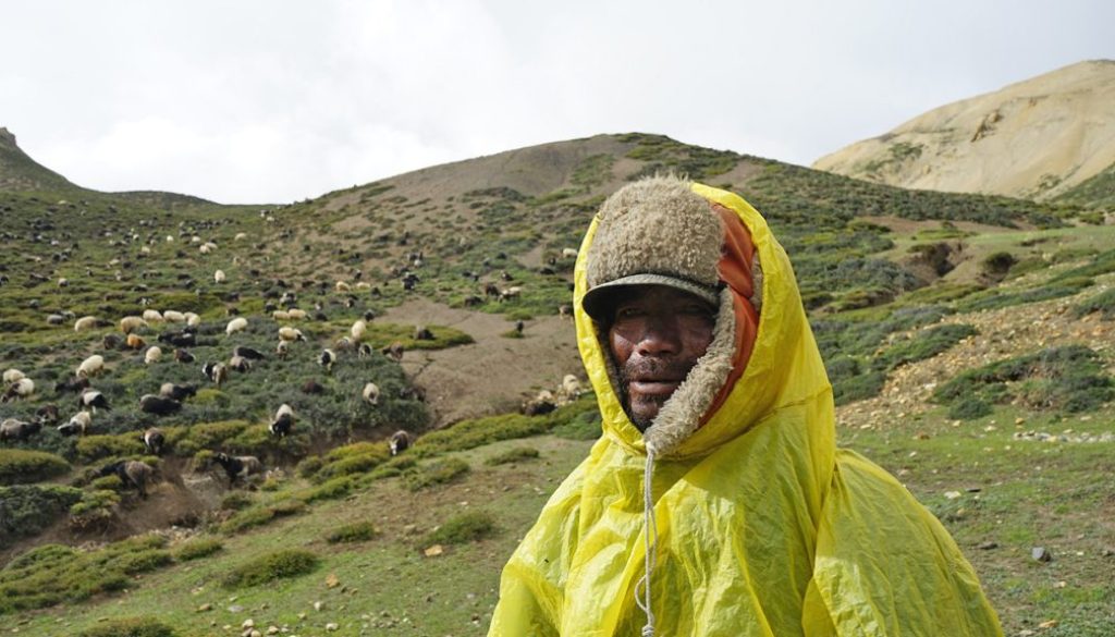 sheep owner Melcha-Tamang