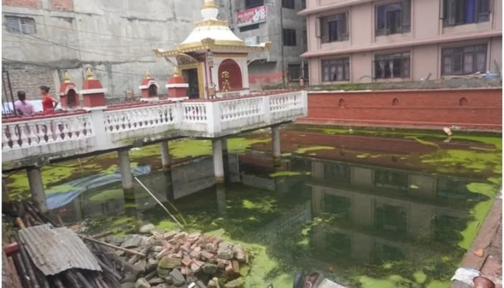tapu-pokhari_ucxQdivPUe