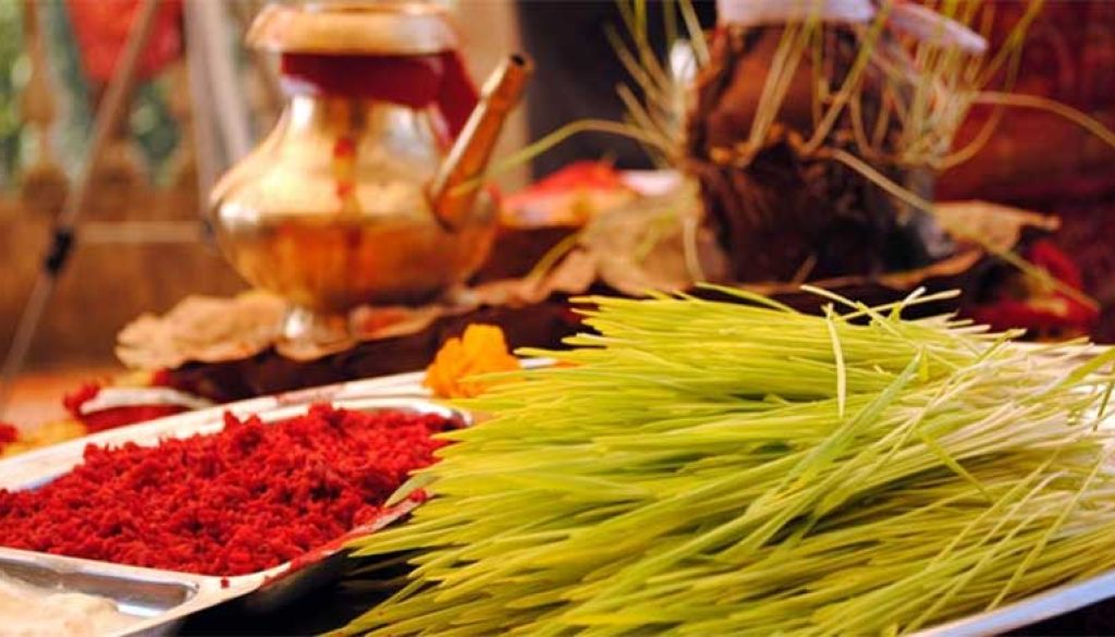 Dashain-Tika-Jamara Dashain-Tika-Jamara