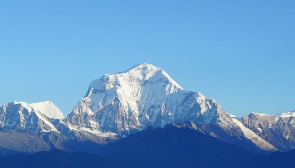 टुरिजमफेस काठमाडौं । धौलागिरि हिमाल आरोहणमा रहेका पाँच रूसी नागरिकको मृत्यु भएको छ । १४ जना रूसी नागरिकको समूह पर्वतारोहणका लागि गएकोमा तीन दिनदेखि ८ जना सम्पर्कविहीन भएका थिए । सम्पर्कविहीन भएकामध्ये पाँच जनाको मृत्यु भएको हो । उनीहरू तीन साताअघि पर्वतारोहणका लागि गएका थिए । पर्यटन विभागका निर्देशक राकेश गुरूङका अनुसार पाँच जना रूसी पर्वतारोहीको शव फेला परेको छ । ती सबैको शव ७ हजार ६०० मिटरको उचाइमा फेला परेको उनले बताए । गुरुङले ८ जना सम्पर्कविहीन भएपछि हेलिकप्टर उडान गर्न खोजेको ‘तर सम्पर्कविहीन भएको पहिलो दिन मौसमका कारण उडान हुन नसकेको उल्लेख गर्दै मंगलबार भने बिहानैदेखि एभरेष्टको हेलिकप्टर उद्धारका लागि खटिएको बताए । हराइरहेका अन्य पर्वतारोहीमध्ये बेस क्याममा दुई जना र एक जना क्याम्प वानमा सकुशल भेटिए । उनीहरूको उपचार भइरहेको विभागले जनाएको छ । मृतकहरूमा एलेक्सान्द्रा डुशेको, ओलेग कुर्गलोभ, क्रिस्टिकोभ भ्लादिमिर, नोसेन्को मिखाइल र शिपिलेभोज दिमित्री रहेको विभागले जनाएको छ ।