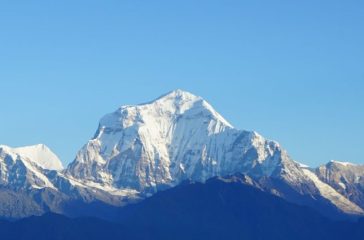 टुरिजमफेस काठमाडौं । धौलागिरि हिमाल आरोहणमा रहेका पाँच रूसी नागरिकको मृत्यु भएको छ । १४ जना रूसी नागरिकको समूह पर्वतारोहणका लागि गएकोमा तीन दिनदेखि ८ जना सम्पर्कविहीन भएका थिए । सम्पर्कविहीन भएकामध्ये पाँच जनाको मृत्यु भएको हो । उनीहरू तीन साताअघि पर्वतारोहणका लागि गएका थिए । पर्यटन विभागका निर्देशक राकेश गुरूङका अनुसार पाँच जना रूसी पर्वतारोहीको शव फेला परेको छ । ती सबैको शव ७ हजार ६०० मिटरको उचाइमा फेला परेको उनले बताए । गुरुङले ८ जना सम्पर्कविहीन भएपछि हेलिकप्टर उडान गर्न खोजेको ‘तर सम्पर्कविहीन भएको पहिलो दिन मौसमका कारण उडान हुन नसकेको उल्लेख गर्दै मंगलबार भने बिहानैदेखि एभरेष्टको हेलिकप्टर उद्धारका लागि खटिएको बताए । हराइरहेका अन्य पर्वतारोहीमध्ये बेस क्याममा दुई जना र एक जना क्याम्प वानमा सकुशल भेटिए । उनीहरूको उपचार भइरहेको विभागले जनाएको छ । मृतकहरूमा एलेक्सान्द्रा डुशेको, ओलेग कुर्गलोभ, क्रिस्टिकोभ भ्लादिमिर, नोसेन्को मिखाइल र शिपिलेभोज दिमित्री रहेको विभागले जनाएको छ ।