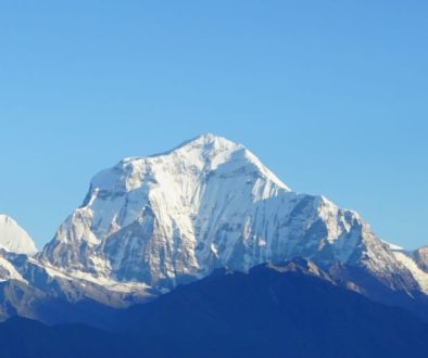 टुरिजमफेस काठमाडौं । धौलागिरि हिमाल आरोहणमा रहेका पाँच रूसी नागरिकको मृत्यु भएको छ । १४ जना रूसी नागरिकको समूह पर्वतारोहणका लागि गएकोमा तीन दिनदेखि ८ जना सम्पर्कविहीन भएका थिए । सम्पर्कविहीन भएकामध्ये पाँच जनाको मृत्यु भएको हो । उनीहरू तीन साताअघि पर्वतारोहणका लागि गएका थिए । पर्यटन विभागका निर्देशक राकेश गुरूङका अनुसार पाँच जना रूसी पर्वतारोहीको शव फेला परेको छ । ती सबैको शव ७ हजार ६०० मिटरको उचाइमा फेला परेको उनले बताए । गुरुङले ८ जना सम्पर्कविहीन भएपछि हेलिकप्टर उडान गर्न खोजेको ‘तर सम्पर्कविहीन भएको पहिलो दिन मौसमका कारण उडान हुन नसकेको उल्लेख गर्दै मंगलबार भने बिहानैदेखि एभरेष्टको हेलिकप्टर उद्धारका लागि खटिएको बताए । हराइरहेका अन्य पर्वतारोहीमध्ये बेस क्याममा दुई जना र एक जना क्याम्प वानमा सकुशल भेटिए । उनीहरूको उपचार भइरहेको विभागले जनाएको छ । मृतकहरूमा एलेक्सान्द्रा डुशेको, ओलेग कुर्गलोभ, क्रिस्टिकोभ भ्लादिमिर, नोसेन्को मिखाइल र शिपिलेभोज दिमित्री रहेको विभागले जनाएको छ ।