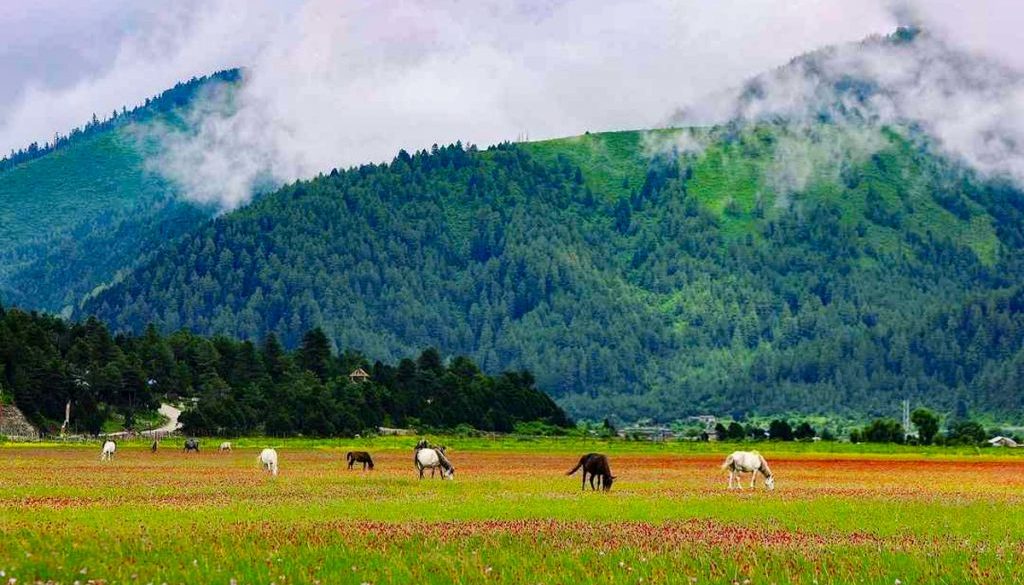 Dhorpatan HUnting Reserve Dhorpatan HUnting Reserve