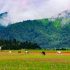 Dhorpatan HUnting Reserve