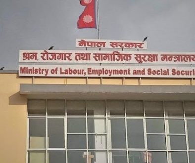 Ministry-of-Labour-Employment-and-Social-Security