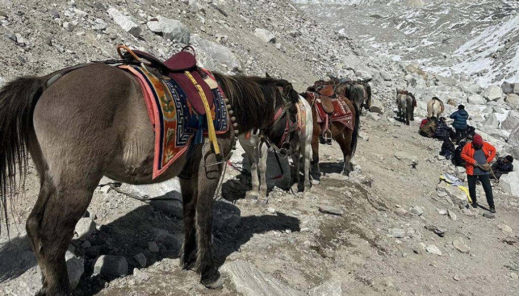 horse-ride-in-sagarmatha-national-park