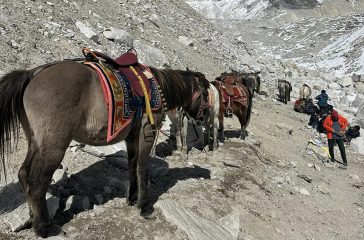 horse-ride-in-sagarmatha-national-park