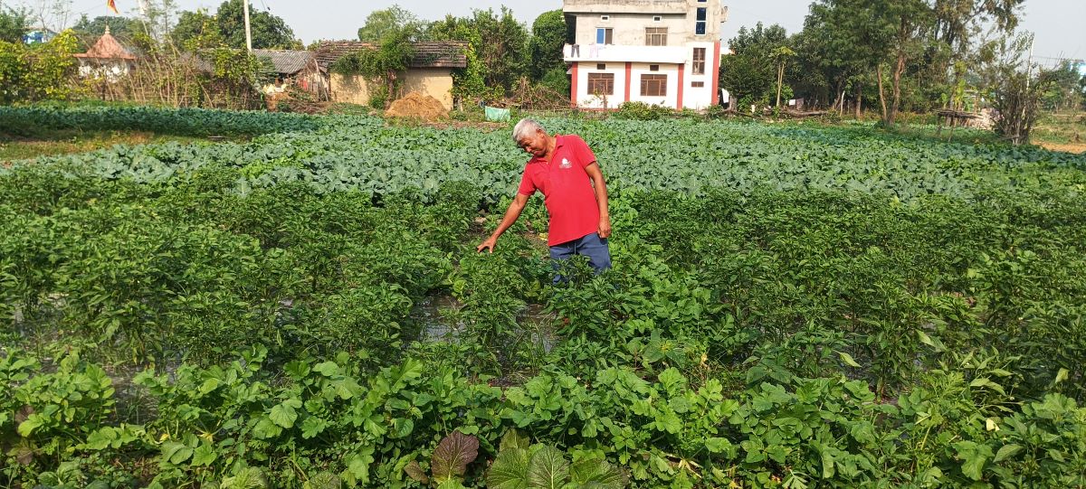 farmer