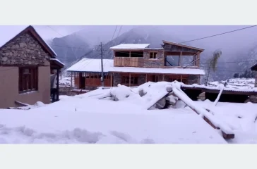 202412090751-0e955f86-109f-4781-bdb1-b651676c8c1b_medium_k2Df0gRe2A