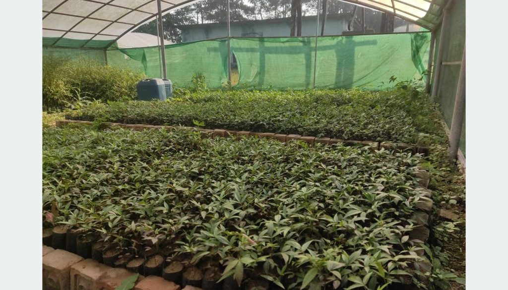 202412171021-7ad84257-2918-4adf-a390-289529d17140_medium