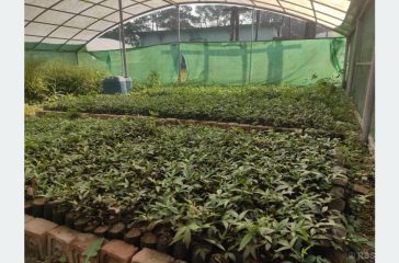 202412171021-7ad84257-2918-4adf-a390-289529d17140_medium