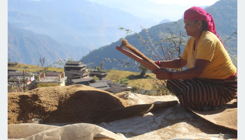 202412171155-90bd0fd9-dc90-4c23-8563-cb9e6ae37714_medium