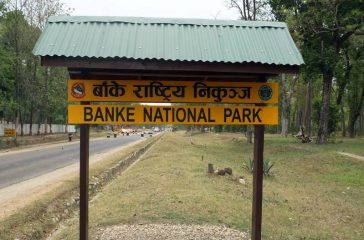 banke-national-park