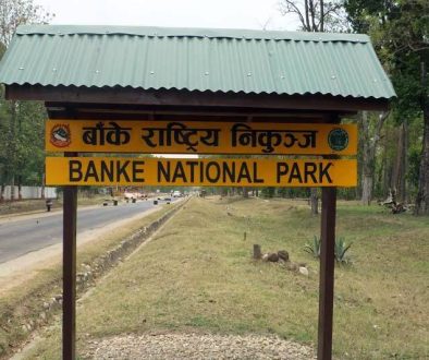 banke-national-park