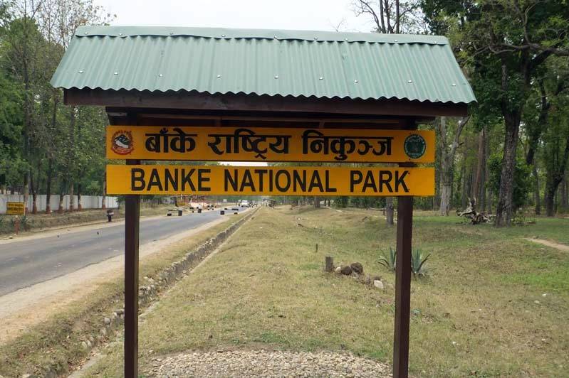banke-national-park