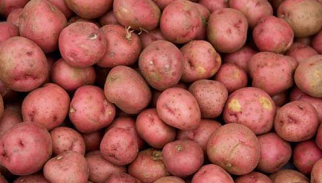 patato