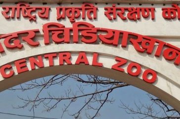 zoo2020-11-24-09-43-09