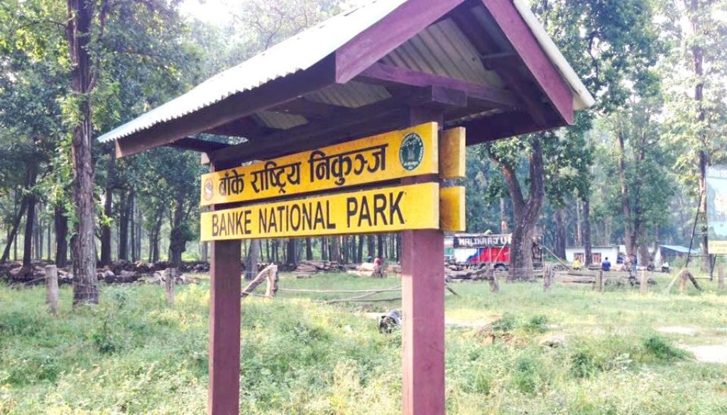 banke-national-park banke-national-park