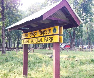 banke-national-park