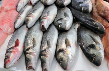 fishh2022-09-16-10-05-20