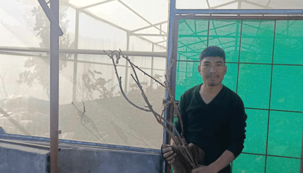 kibi_eKtVPniQ22