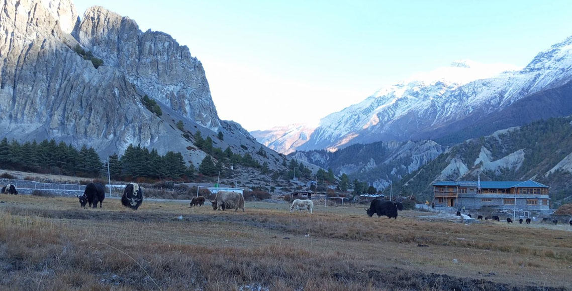 Manang