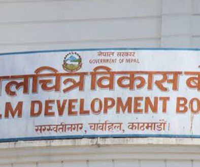 film-development board