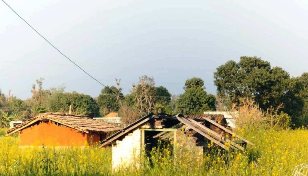 migrated villege migrated villege