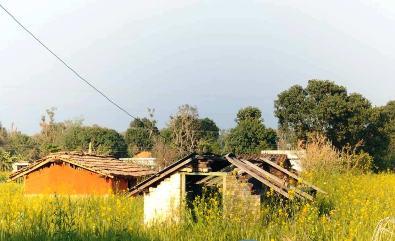 migrated villege