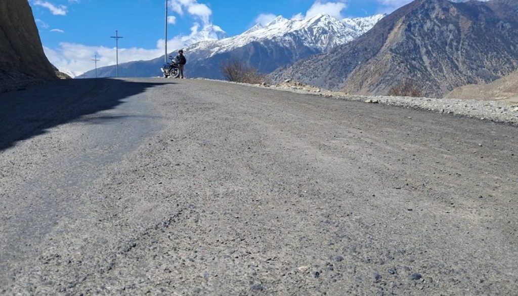 mustang-road_NUn4KwbG0B mustang-road_NUn4KwbG0B