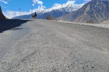 mustang-road_NUn4KwbG0B