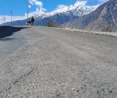 mustang-road_NUn4KwbG0B