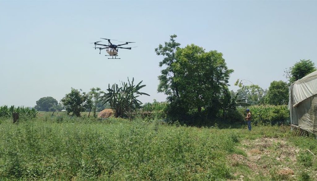 Dron in agriculture Dron in agriculture
